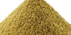 Coriander Powder