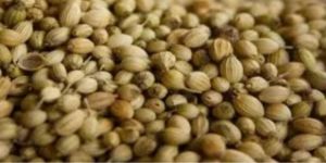 Coriander Seeds