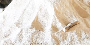 Gypsum Plaster Of Paris