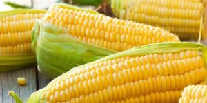 Sweetcorn