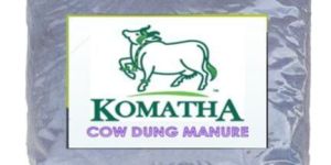 Cowdung Powder