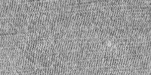 38 Inch Cotton Grey Fabric