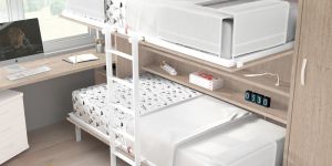 Wall Mounted Bunk Bed for Kids And Adult
