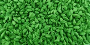 6 - 6.5 mm Green Cardamom