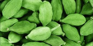 8.5+ mm Green Cardamom