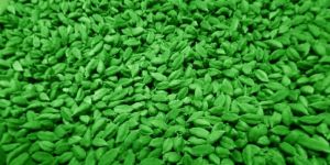 Pan Green Cardamom