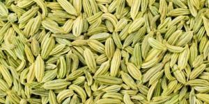Fennel Seeds