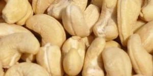 Natural Cashew Nuts
