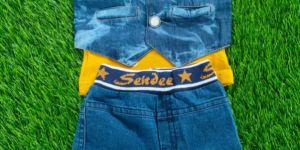 Kids Fancy Party Wear Baba Suit