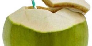 Tender Coconut Water