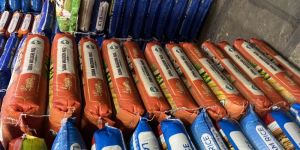 HMT Sona Masoori Rice