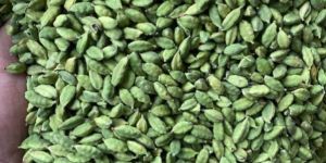 Green Cardamom