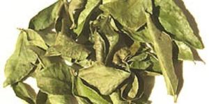 Dried Curry Leaves