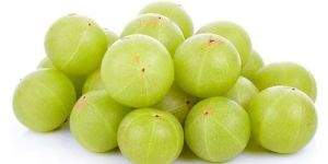 Green Amla