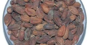 Neem Seeds