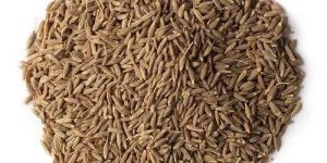 Organic Cumin Seeds