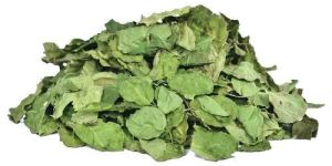 Organic Moringa Leaves
