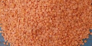 Red Split Lentils