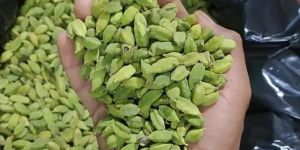 Green Cardamom