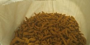 Turmeric Finger