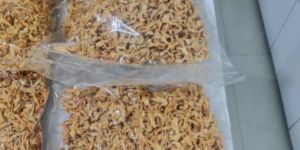 Brown Dried Cordyceps Militaris Mushroom