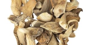 Dried Organic Oyster Mushroom