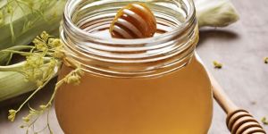 Pure Fennel Honey