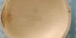 Disposable Areca Leaf Plate