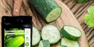 Long Cucumber Seeds
