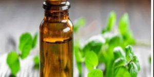 Liquid Mint Terpene