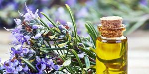 Rosemary Oil