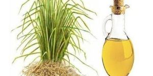 Vetiver Oil