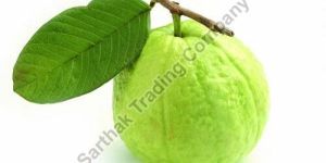 Fresh a Grade Fresh Guava