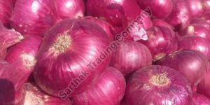 Fresh Red Onion