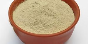 Shatavari Powder