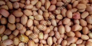Java Peanuts
