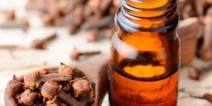 Clove Oil