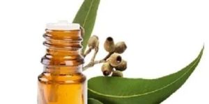 Eucalyptus Oil