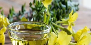 Evening Primrose Oil
