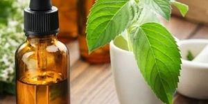 Spearmint Oil