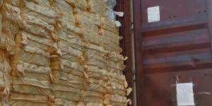 Import Export Services