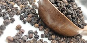 Fresh Black Pepper Seeds