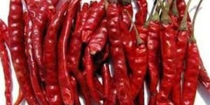 S17 Teja Dry Red Chilli