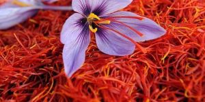 Natural Iran Saffron