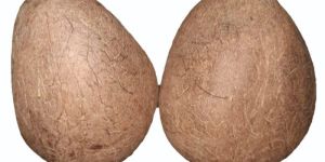 Organic Whole Coconut Copra