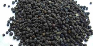 Black Pepper Seeds