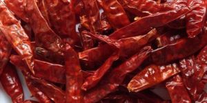 Stemless Dry Red Chilli