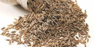Cumin Seeds