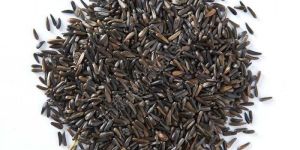 Niger Seeds
