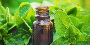 Peppermint Essential Oil